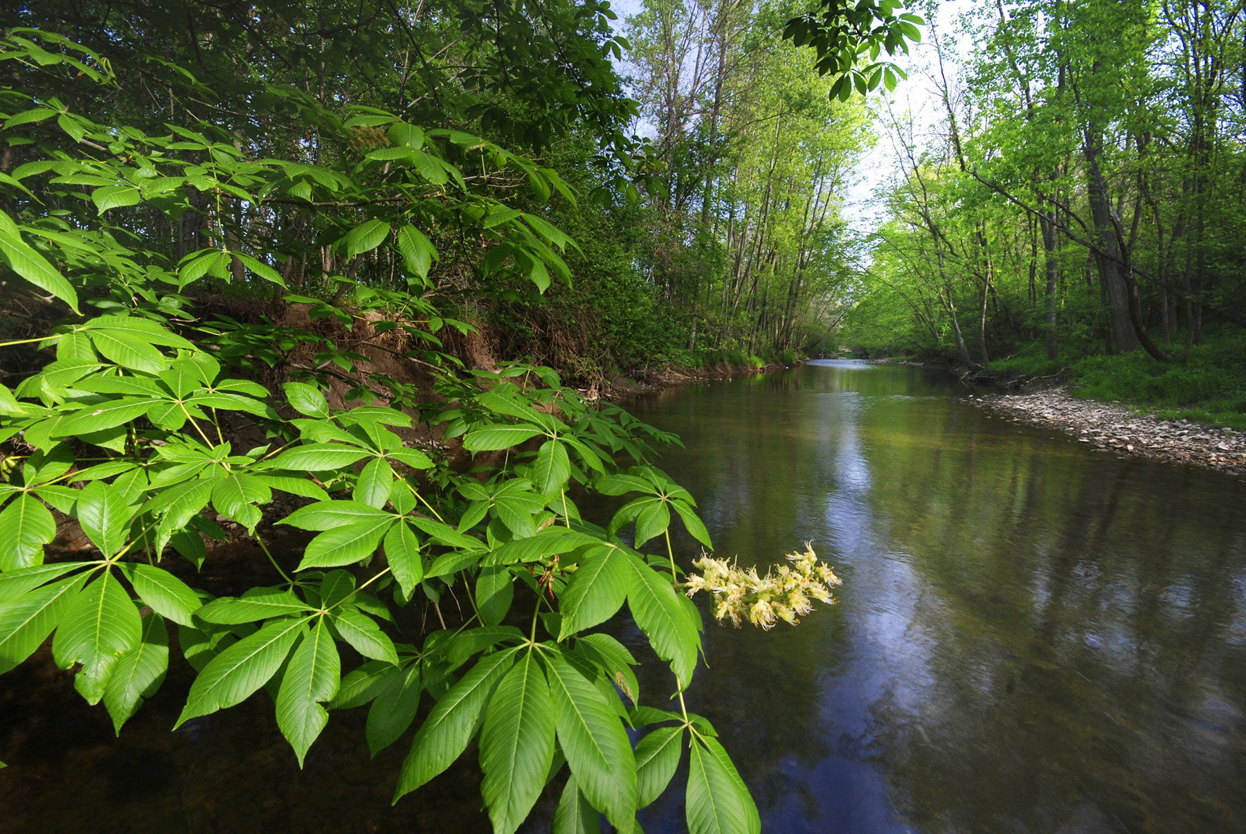 Columbus Ohio Scioto River watershed