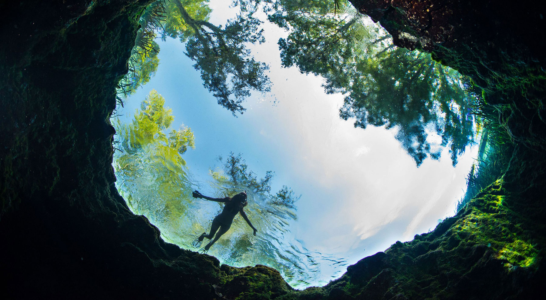 Swimming in a Florida spring