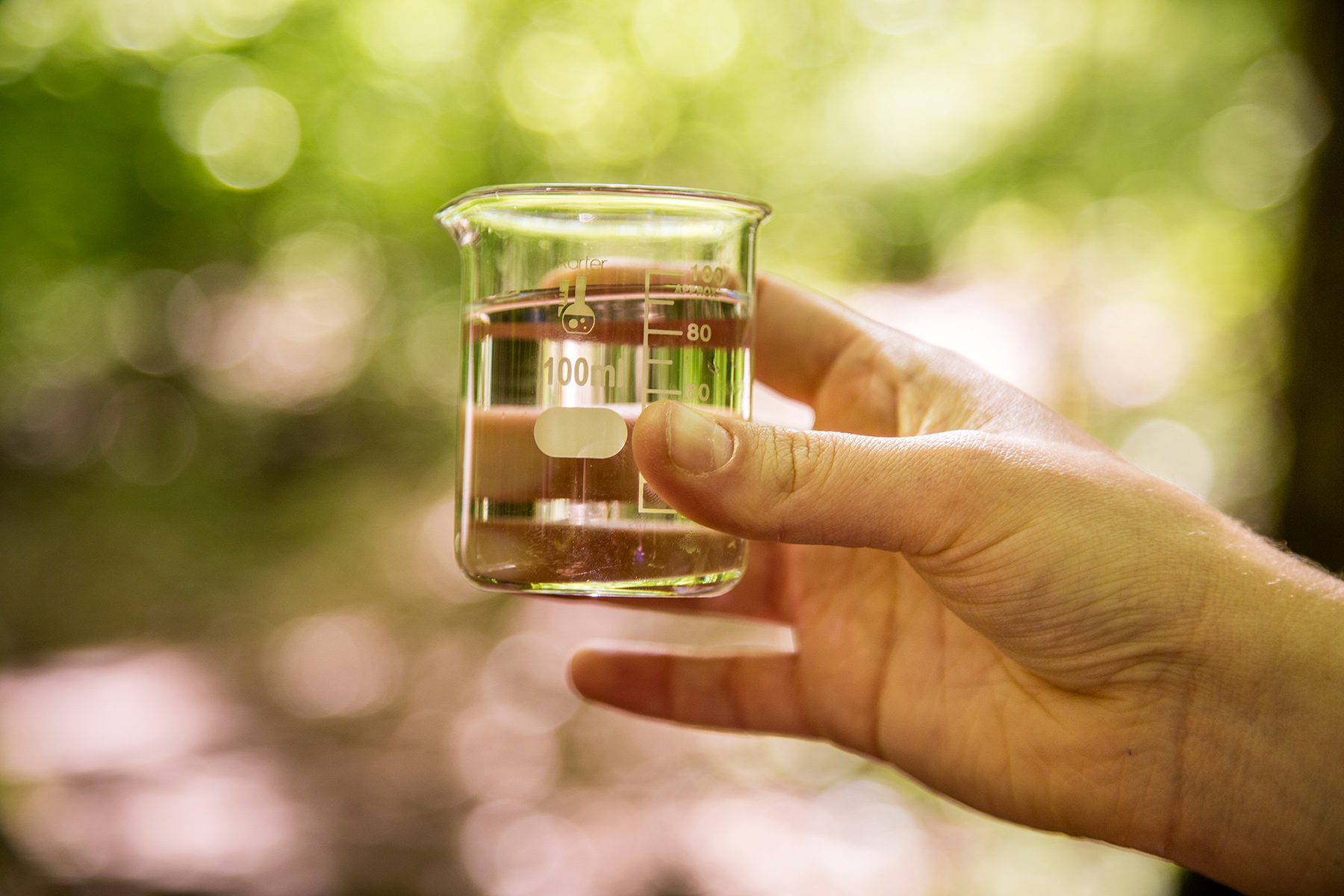 Photo of water in measuring cup