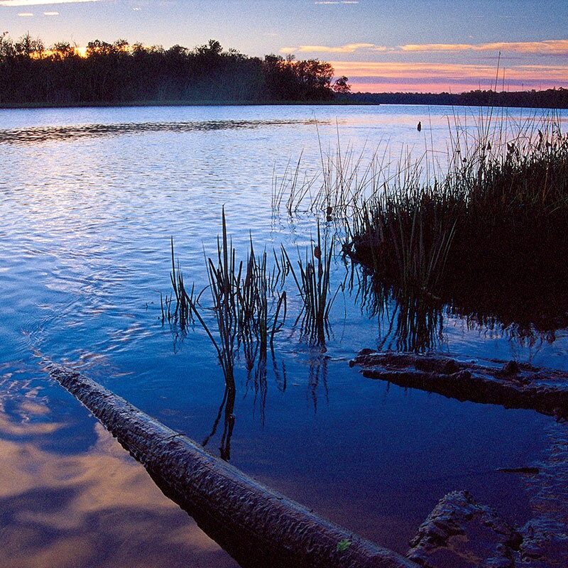 Chesapeake Bay